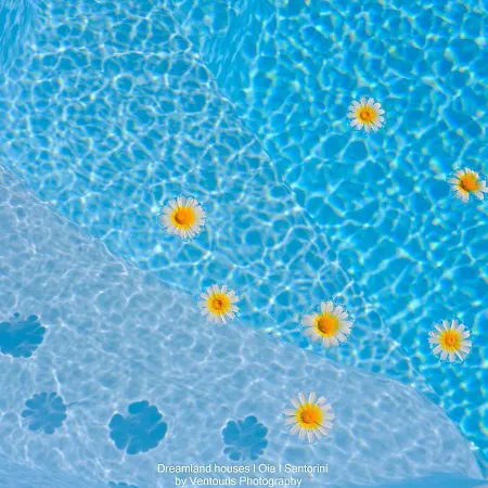 Dreamland ηouses * Oia